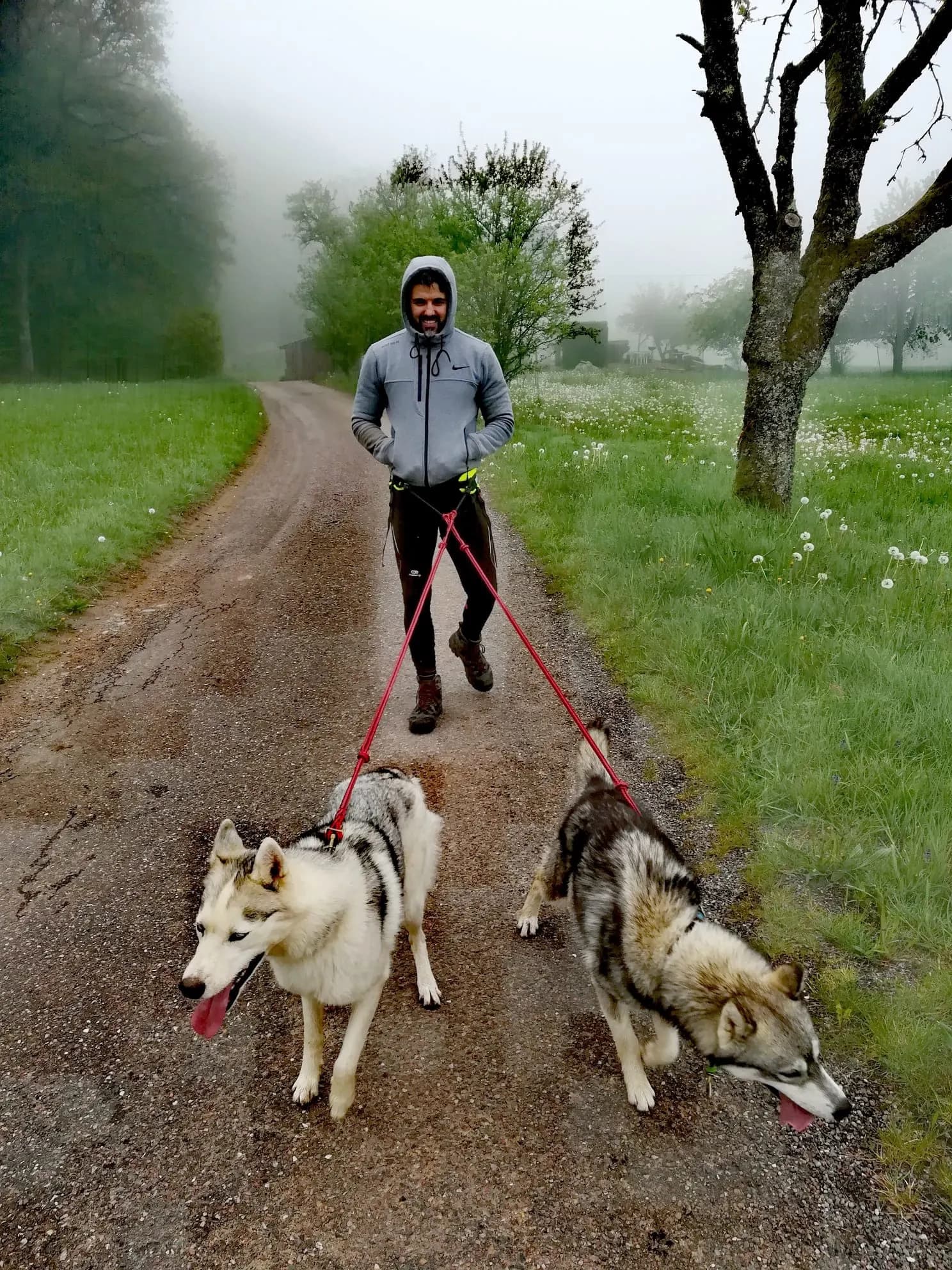 Cani-caminhada
