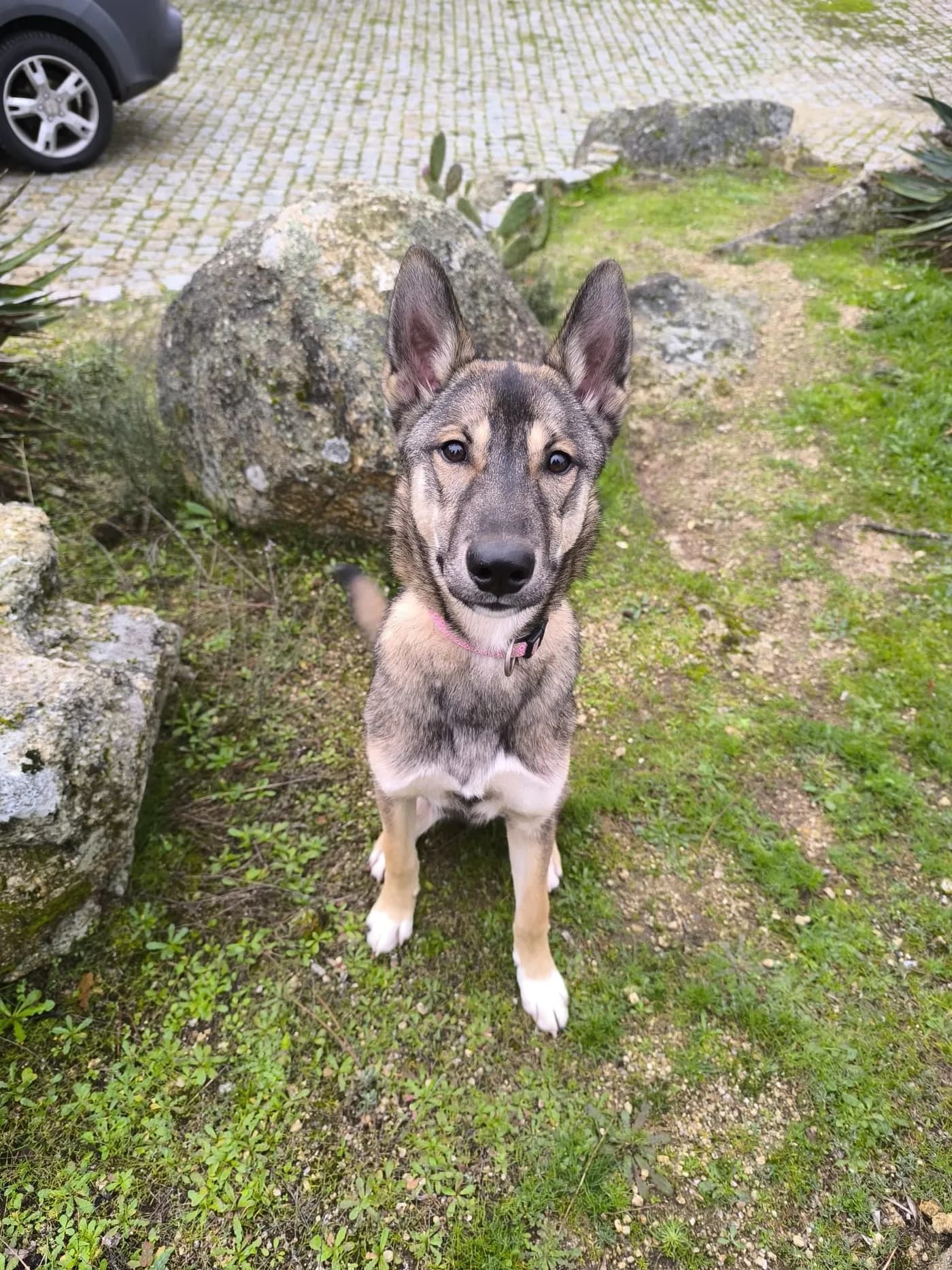 Vito