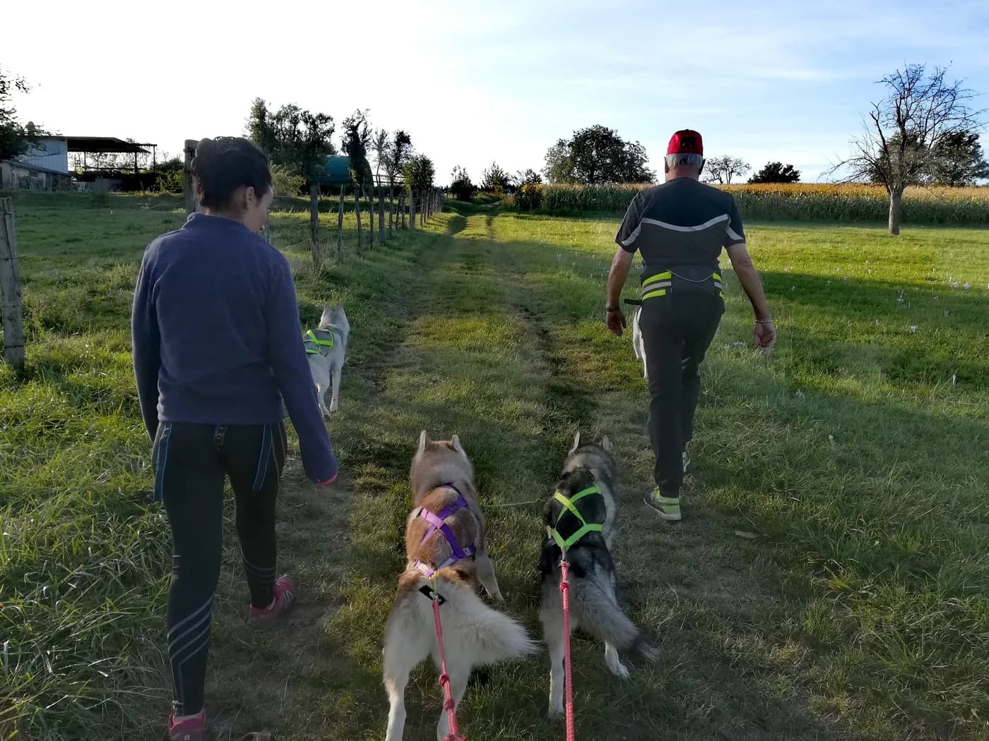 Cãominhada "Cani-caminhada "
